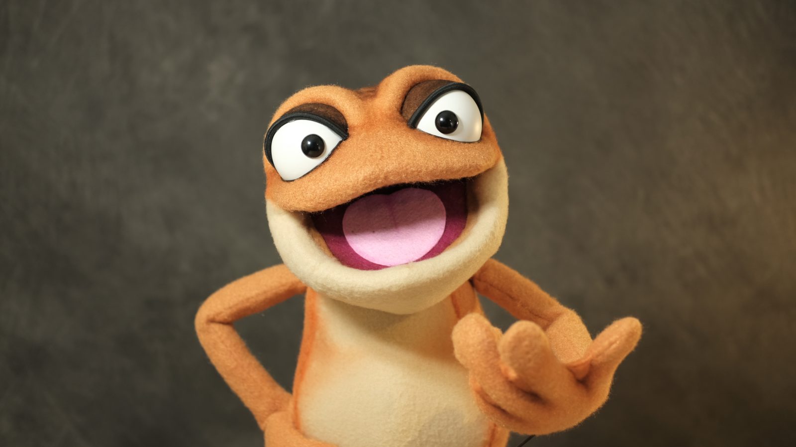 toad puppet