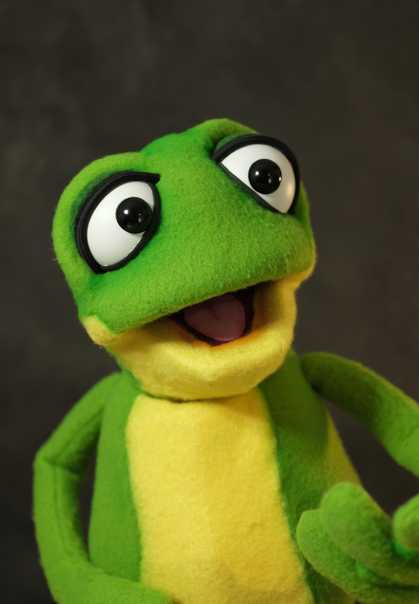 Frog Puppet