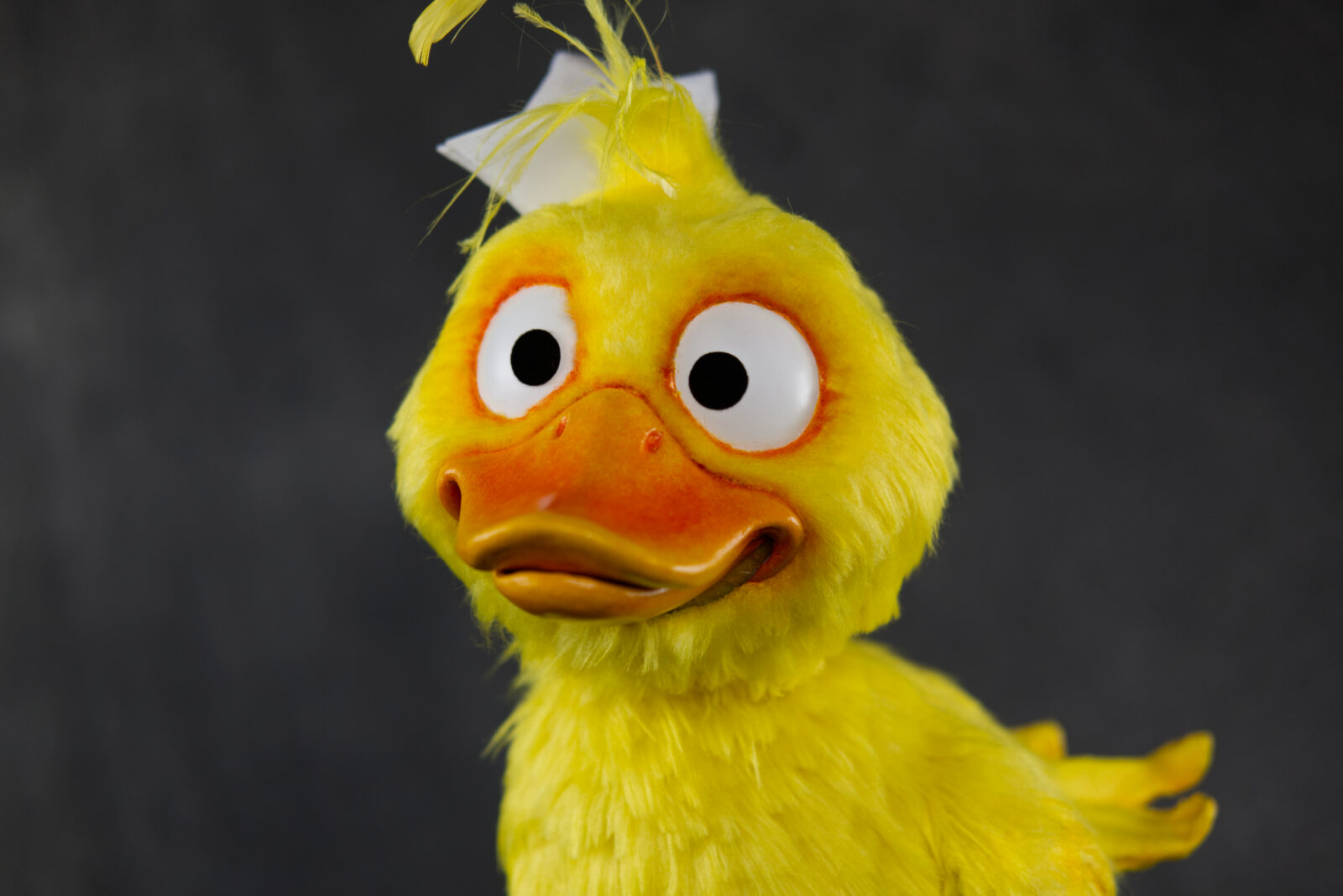 quack face