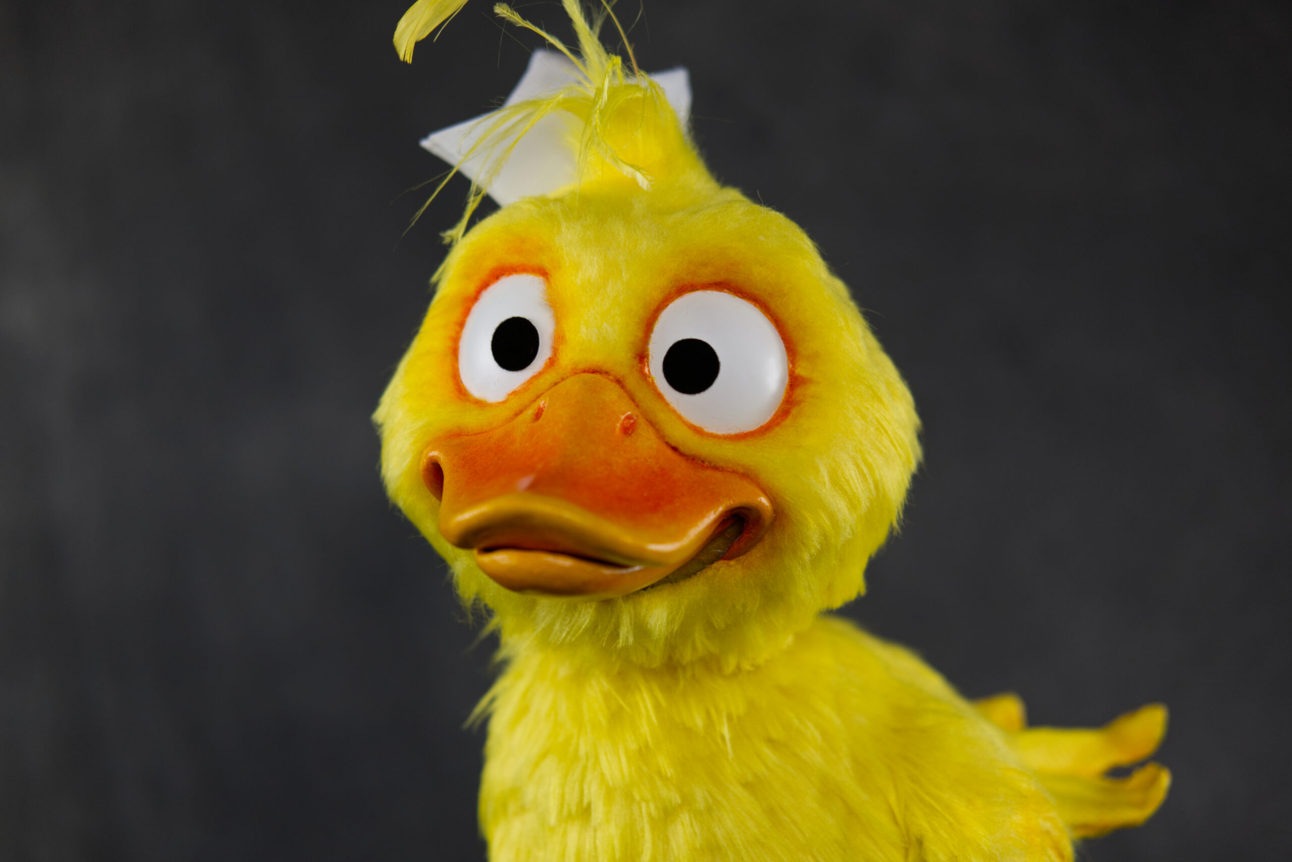 quack face